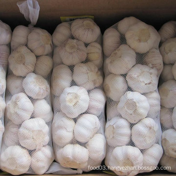 Chinese Normal White Garlic (4.5cm, 5.0cm, 5.5cm, 5.5cm, 6.0cm)